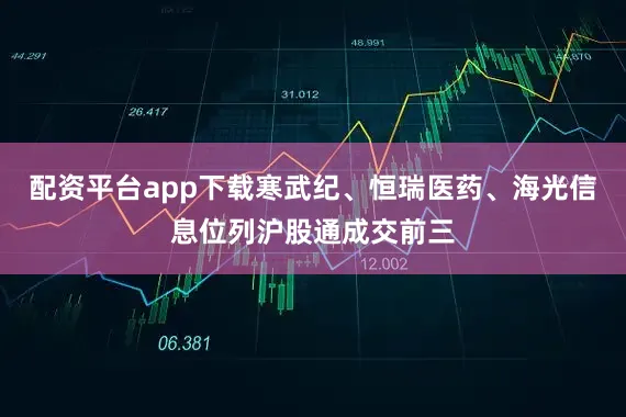 配资平台app下载　　寒武纪、恒瑞医药、海光信息位列沪股通成交前三